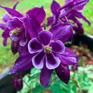 Looking for more vintage items? Check out my page @boho_vintage_mcm